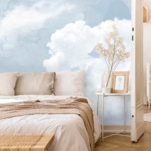 Sky View Wallpaper for Kids Rooms