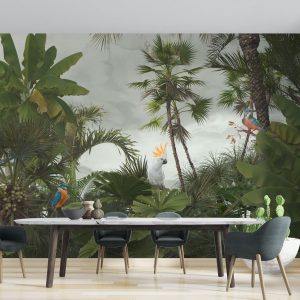 Bird Species in Tropical Forest Wallpaper